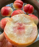 甘肅蘭州安寧白鳳桃白粉桃水蜜桃水果新鮮當季整箱子現(xiàn)摘桃子 9顆 蘭州白鳳桃中果 航空運輸 曬單實拍圖