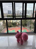 糜嵐（MieLanat）動(dòng)物坐騎椅子小馬椅網(wǎng)紅創(chuàng  )意椅子卡通造型沙發(fā)動(dòng)物坐騎可騎 【旗艦款】帶輪-小馬椅-粉 曬單實(shí)拍圖