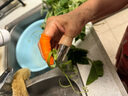 威爾基指甲套剝豆神器毛豆摘菜拇指刀鐵剝蒜器掐菜蒜保護套黃豆剝皮器 手指刀+護手橡膠指套【4套裝】 曬單實拍圖