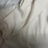 白色長袖t恤女修身2025年春新款半高領打底衫內搭褶皺正肩上衣女 愚仁-1042【白色】 3XL 曬單實拍圖
