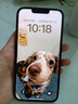 Apple iPhone 14 蘋果14 二手手機5G全網通國行雙卡 二手蘋果手機 星光色【評價有禮】 【95新】256G 三年老店+五星店鋪+三年質保 曬單實拍圖