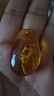 DR-FLVVS胖東來(lái)品質(zhì)琥珀昆蟲(chóng)標(biāo)本真昆蟲(chóng)琥珀兒童挖掘考古盲盒蟲(chóng)珀配件學(xué)生 金珀蝎子1個(gè) 曬單實(shí)拍圖