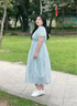 獨(dú)束大碼女裝波嬉風(fēng)刺繡連衣裙女2025新款燈籠泡泡袖收腰顯瘦長裙 半透藍(lán) L （尺碼：2） 曬單實(shí)拍圖