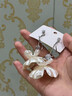 UOSU超仙花朵長(zhǎng)款耳環(huán)法式氣質(zhì)高級(jí)感輕奢度假風(fēng)耳釘小眾設(shè)計(jì)百搭耳飾 法式花朵耳環(huán) 曬單實(shí)拍圖