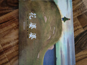 花婆婆——清華附小推薦的經(jīng)典繪本！榮獲冰心獎美國國家圖書獎作品！ 曬單實拍圖