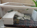SQG烏龜生態(tài)缸 家用龜盆帶曬臺帶缸蓋 底部排水塑料飼養(yǎng)箱水陸兩用 中號-基礎(chǔ)曬臺套餐【雅梨黃】 帶蓋防逃逸+曬臺+底部排水 曬單實拍圖