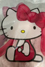 野獸派家居（tbh）Hello Kitty法蘭絨蓋毯雙面絨感沙發(fā)空調(diào)毯午睡毯空調(diào)毯親膚絨毯 曬單實(shí)拍圖