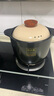 炊大皇  COOKER KING北歐風砂鍋燉鍋家用耐高溫湯鍋燃氣直燒煲湯鍋燉湯養(yǎng)生鍋大肚煲 【干燒不裂】適用5-8人 6.5L 曬單實拍圖