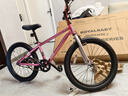 優(yōu)貝（RoyalBaby）兒童自行車男女童車腳踏車山地車6-7-10-12歲 小精靈20寸霞光粉 曬單實拍圖