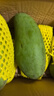 卓勵行越南進(jìn)口大青芒果玉芒果青芒大芒果生鮮新鮮水果 現摘 越南大青芒9斤 曬單實(shí)拍圖