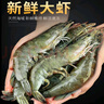 【順豐快遞】蝦 青島大蝦白蝦鮮活新鮮特大海鮮水產(chǎn)蝦子蝦米冷凍 20/30規格 2.8- 3斤(凈重)  帶箱4斤【高品質(zhì)】 曬單實(shí)拍圖