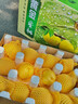 祁語(yǔ)黃金蜜桃黃桃新鮮水果芒果桃黃金油桃順豐無(wú)毛油桃當季大果 大果4.8（12枚）彩箱禮盒 曬單實(shí)拍圖