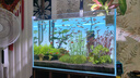 老漁匠魚缸背景燈板led南美缸水草缸水族箱觀賞照明燈rgbw發(fā)光板 漸變背景板60*40cm-APP控制遠(yuǎn)程操控 曬單實(shí)拍圖