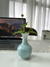 陶羽水藍窯變結晶釉小花器簡(jiǎn)約禪意陶瓷荷花瓶水培客廳電視柜玄關(guān)擺件 窯變結晶釉小花器-水藍 曬單實(shí)拍圖
