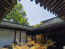 高爾夫（GOLF）旅行包男女士手提運(yùn)動(dòng)健身包大容量行李袋出差旅游干濕分離斜挎包 曬單實(shí)拍圖