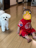 優(yōu)奇周歲禮服男寶寶薄款套裝夏季男童抓周宴生日嬰兒紅色中式國(guó)風(fēng)衣服 曬單實(shí)拍圖