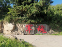 德瑞水族黃緣龜糧黃緣盒龜專用烏龜飼料黃緣閉殼安緣臺(tái)緣幼龜發(fā)色龜飼料 黃緣龜大粒1200g 曬單實(shí)拍圖