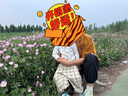 babylove嬰兒褲子夏季薄款純棉紗布寶寶褲子小童防蚊褲束腳褲燈籠褲休閑褲 格紋 100 cm 曬單實(shí)拍圖