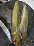 金屬線(xiàn)杯紡車(chē)輪路亞漁輪遠投海竿磯釣專(zhuān)用魚(yú)輪釣魚(yú)輪子斜口超 【漁輪】NX黑紅：5000 曬單實(shí)拍圖