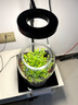 LED全光譜植物生長(zhǎng)燈補(bǔ)光燈多肉燈微景觀燈魚缸燈竹板燈苔蘚燈led 普光【黑色】伸縮桿調(diào)光開關(guān)22235 曬單實(shí)拍圖
