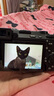 索尼（SONY）Alpha 7C II 新一代全畫幅雙影像小“7” 創(chuàng)意外觀濾鏡 A7Cii/A7CM2/A7C二代 黑色A7C2L套機(jī)【國家補(bǔ)貼贈(zèng)128G卡+皮套等】 標(biāo)配 曬單實(shí)拍圖