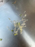 浪漫多巴胺粉色蝴蝶結(jié)波點(diǎn)大腸發(fā)圈女高級(jí)感韓系甜美兒童發(fā)飾夏 浪漫粉色+浪漫藍(lán)色【各一個(gè)】 曬單實(shí)拍圖