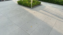 小米R(shí)EDMI 27英寸2K 240Hz電競(jìng)顯示器 Fast IPS HDR400 1msGTG  10Bit 升降旋轉(zhuǎn)支架 G27Q 240Hz 曬單實(shí)拍圖