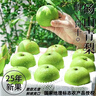 梨園頤珍正宗碭山梨 新鮮青脆蜜梨皇冠梨脆甜無(wú)渣多汁爽口當(dāng)季頭茬現(xiàn)摘梨 國(guó)家地理標(biāo)志授權(quán)認(rèn)證產(chǎn)品 凈重4.5斤左右（中大果） 曬單實(shí)拍圖