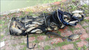 川澤線組主線全套進(jìn)口魚線成品線組套裝釣鯽魚競技線組正品大物線組 4.5m【4卷裝】+收納盒剪刀 2.0號 曬單實拍圖