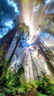 柯達(dá)（Kodak）PRINTOMATIC 拍立得相機(jī) 灰白色 （即拍即打 無墨打印 簡(jiǎn)約撞色） 曬單實(shí)拍圖