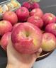 煙臺蘋果水果棲霞紅富士新鮮生鮮果山東特產(chǎn)脆甜 精品果 凈重4.5斤（果徑75mm以上） 曬單實拍圖