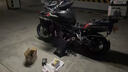猛獅貝納利金鵬TRK502/502X TRK552X摩托車專業(yè)高性能電瓶12V蓄電池 猛獅 MG14ZS-C 容量:11.2A 曬單實拍圖