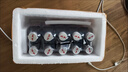 紅牛（RedBull）RedBull泰國進口紅牛維生素功能飲料100ml銀蓋小牛711同款加 100ml*10瓶 曬單實拍圖