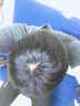 佰絲堂假發(fā)男短發(fā)真發(fā)全真人發(fā)絲寸發(fā)中年男士頭頂補發(fā)片塊地中海遮白發(fā) 毛寸款 【遞針旋15*20】 直接戴 曬單實拍圖