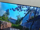 TCL雷鳥 雀5 25款 43英寸電視 144Hz高刷 2+32GB 遠(yuǎn)場語音 智能液晶超薄平板電視機43F295C 曬單實拍圖