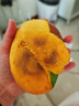 京鮮生 攀枝花凱特芒果 凈重4.5斤 單果300g+ 生鮮水果源頭直發(fā) 曬單實(shí)拍圖