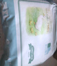 凱兒得樂比得兔拉拉褲2XL64片(超15kg))嬰兒學步褲 大碼成長褲尿不濕 曬單實拍圖