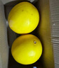 京鮮生 民勤蜜瓜 凈重4-5斤 1-2粒 生鮮水果 源頭直發(fā) 曬單實(shí)拍圖