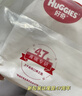 好奇（Huggies）鉑金裝成長褲XL96片(12-17kg)加大號嬰兒尿不濕小桃褲超薄透氣 曬單實拍圖