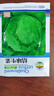 結(jié)球生菜種子圓生菜春夏秋四季播生菜種子球形菜種子球生菜生菜籽 結(jié)球生菜種子 1包約1000粒 曬單實(shí)拍圖
