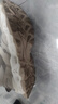 駱駝（CAMEL）戶外登山鞋男網(wǎng)面透氣鞋耐磨防滑專業(yè)徒步鞋女士 F24B693029 曬單實(shí)拍圖