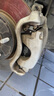 布雷博（Brembo）剎車片前片陶瓷馬自達進口CX-3/馬自達3昂克賽拉P49050N 曬單實拍圖