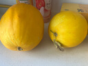 卉雙正宗陜西黃河蜜瓜紅金寶當(dāng)季新鮮沙漠甜瓜黃金香瓜脆甜可口 黃河蜜瓜 精選帶箱9-10斤（凈重8.5斤） 曬單實(shí)拍圖