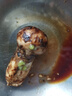 滇味十足 云南新鮮松茸 香格里拉未開傘出口品質(zhì)養(yǎng)生菌菇滋補(bǔ)營養(yǎng)美味 【出口級】凈重500克 4-6cm 曬單實(shí)拍圖