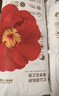 宜嬰弱酸紅山茶花3XL60片+2片拉拉褲小內(nèi)褲【品牌直供 安心品質(zhì)】 曬單實(shí)拍圖