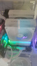 ARCTIC P12 PWM PST A-RGB風(fēng)扇 12cm機箱風(fēng)扇 P12 PRO智能溫控 電腦臺式機散熱風(fēng)扇 P12 PWM PST 白色 曬單實(shí)拍圖
