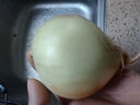 京喜加買菜新鮮黃洋蔥水果蔬菜調(diào)料洋蔥 【嘗鮮】 500g 含箱 曬單實(shí)拍圖