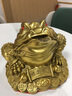 繽越黃銅金蟾招財(cái)擺件銅金蟾蜍三足金蟾金蟬擺件客廳玄關(guān)擺件開(kāi)業(yè)禮物 曬單實(shí)拍圖