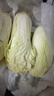 【超市品質(zhì)】新鮮精品娃娃菜現(xiàn)砍現(xiàn)發(fā)小包裝新鮮蔬菜生鮮產(chǎn)地直發(fā) 新鮮娃娃菜1*(3棵)*1包 曬單實(shí)拍圖