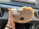 洽苒【日本】汽車擺件仿真貓咪毛絨可愛竹炭包除甲醛車載除異味 橘貓-絨墊【二代】 1g 1瓶 曬單實(shí)拍圖